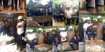 Taking a holistic approach towards sustainable Agricultural Production & Rural Devt: The case of FGN, IFAD LIFE ND, C/River State