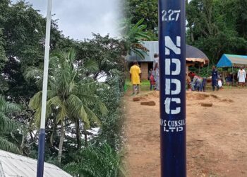 NDDC Solar Street Lights Installed at Basan-Mbube, Ogoja LGA: Duke secures intervention