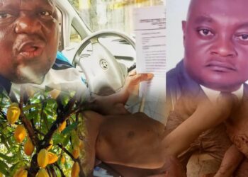 Cocoa farmland tussle in Etung: Mark Prince alleges plot by rival farmers, calls for DSS investigation