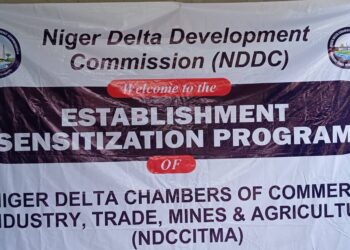 NDDC pledges development through Niger Delta Chamber of Commerce initiative
