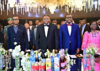 AFDB promises Cross River support on healthcare, agro-processing initiative