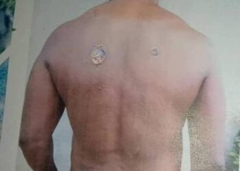 Cocoa Contractors Demand Withdrawal of Soldiers from Abonita Estate