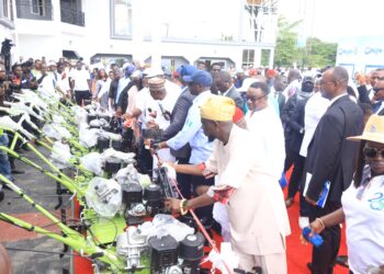 NDDC Commissions Cross River office after 25 years, flagsoff road projects