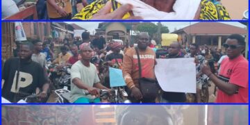 Cross River Women Threaten Naked Protest Over Cocoa Estate Privatization