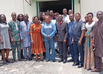 Cochrane Nigeria urges stronger media role in cholera battle