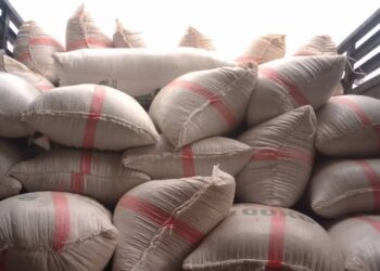 Soybeans Revolution: C/River Govt Delivers First Shipment to Flour Mills Oyo State Through “Project Grow”